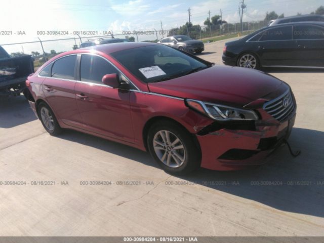 HYUNDAI SONATA 2016 5npe24af8gh339368