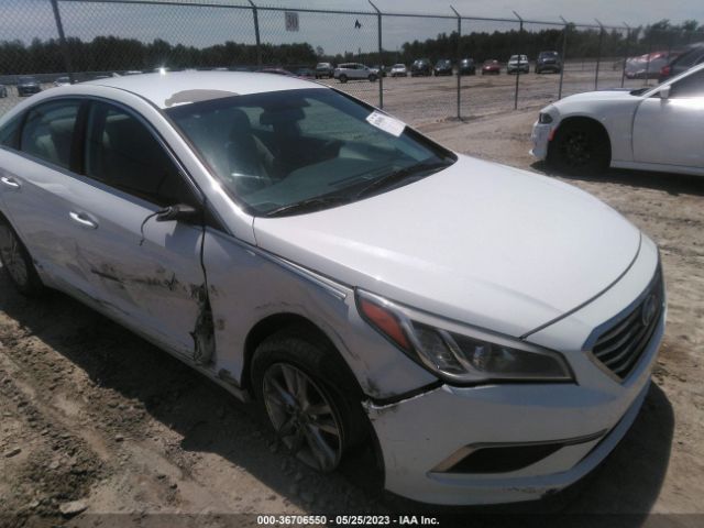 HYUNDAI SONATA 2016 5npe24af8gh341783