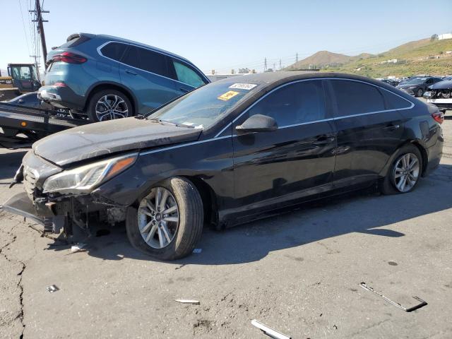 HYUNDAI SONATA 2016 5npe24af8gh342819