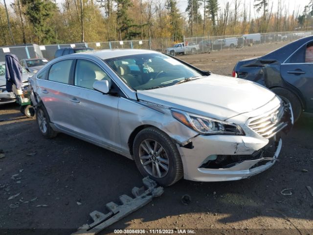 HYUNDAI SONATA 2016 5npe24af8gh344991