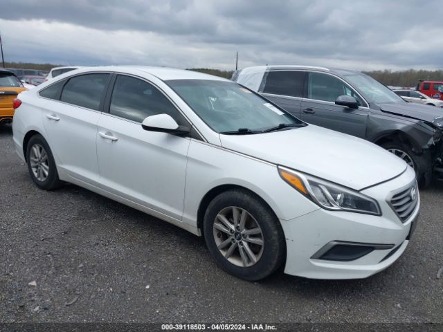 HYUNDAI SONATA 2016 5npe24af8gh346305