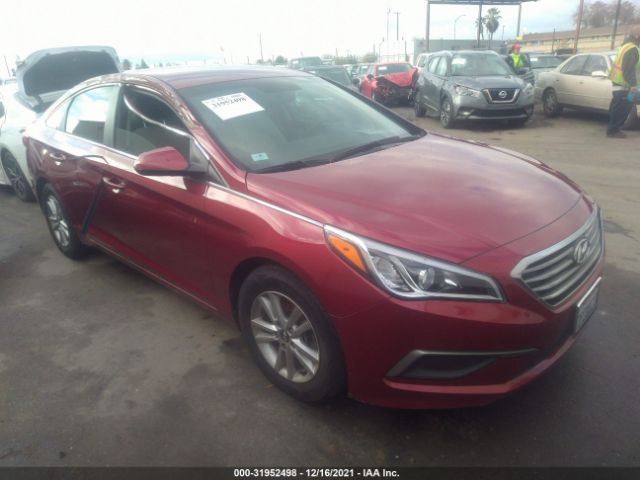 HYUNDAI SONATA 2016 5npe24af8gh346871