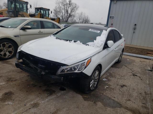 HYUNDAI SONATA 2016 5npe24af8gh351262