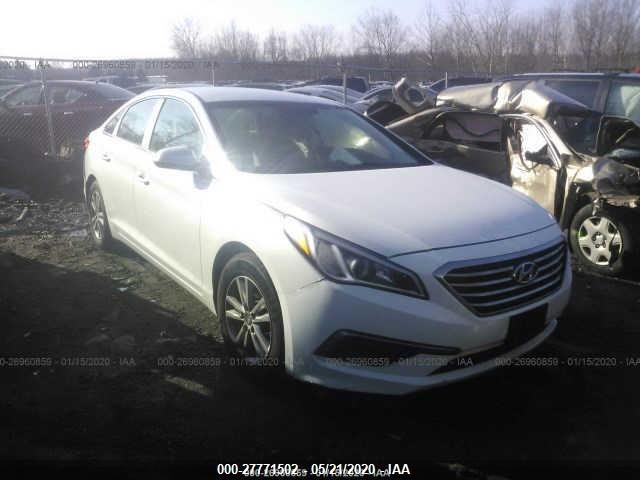 HYUNDAI SONATA 2016 5npe24af8gh356039