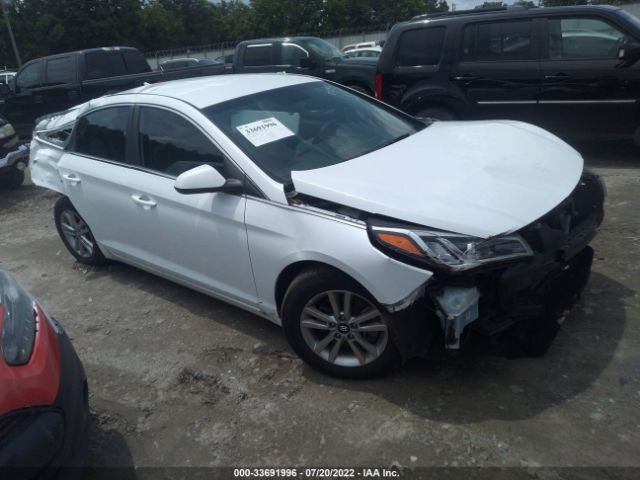 HYUNDAI SONATA 2016 5npe24af8gh359393