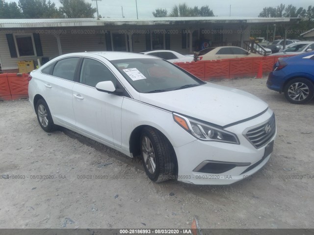 HYUNDAI SONATA 2016 5npe24af8gh359846