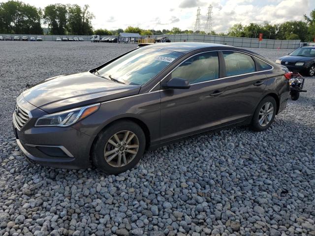 HYUNDAI SONATA 2016 5npe24af8gh360544