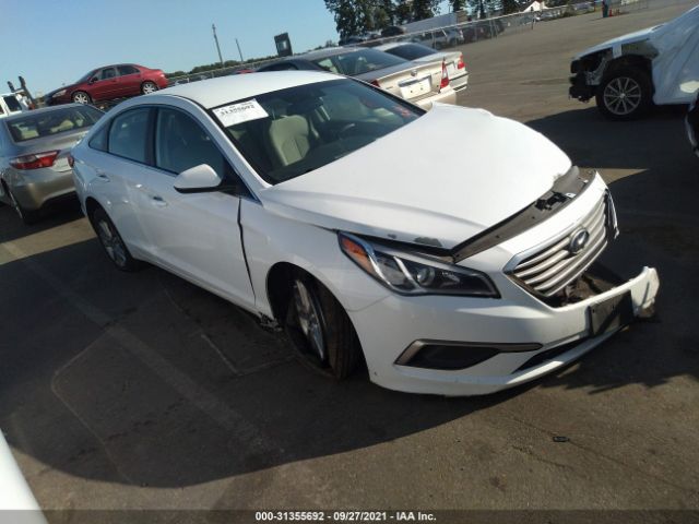 HYUNDAI SONATA 2016 5npe24af8gh364643