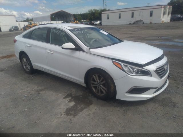 HYUNDAI SONATA 2016 5npe24af8gh366361