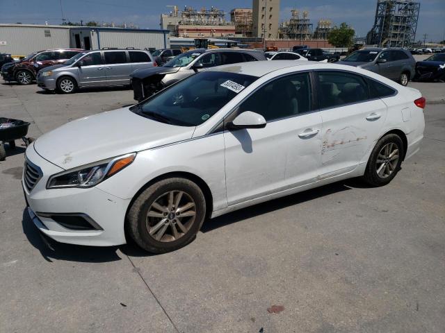 HYUNDAI SONATA 2016 5npe24af8gh366649