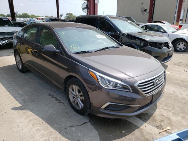 HYUNDAI SONATA SE 2016 5npe24af8gh367333