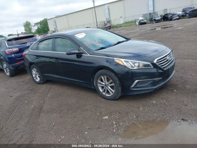 HYUNDAI SONATA 2016 5npe24af8gh368482