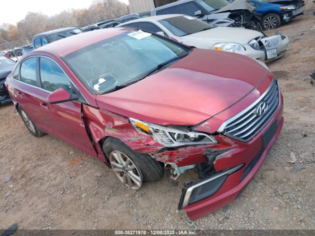 HYUNDAI SONATA 2016 5npe24af8gh369440