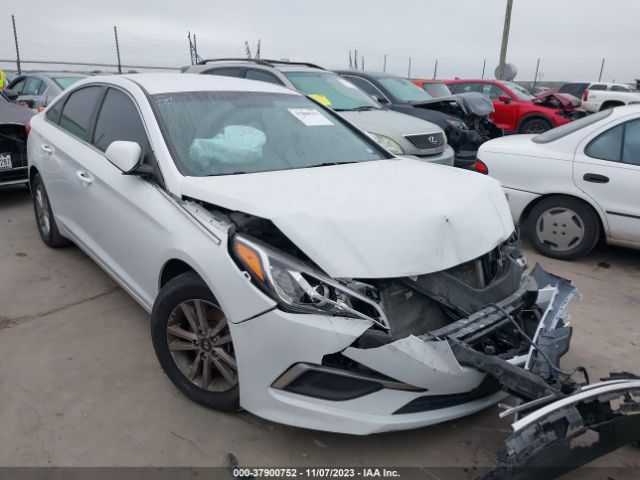 HYUNDAI SONATA 2016 5npe24af8gh372127