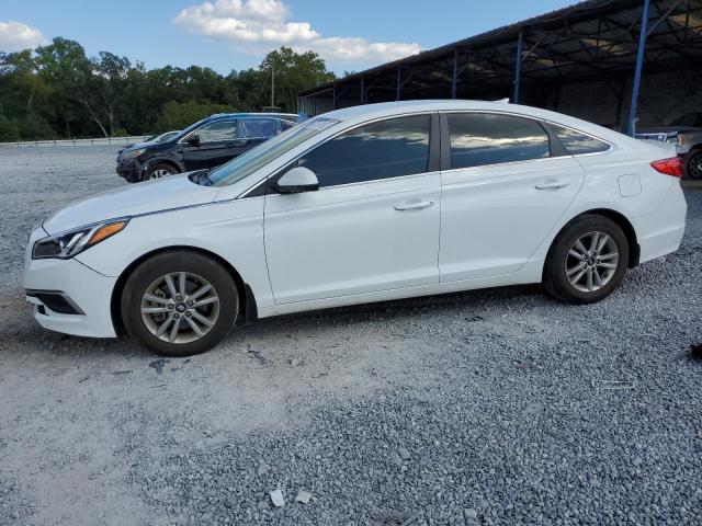 HYUNDAI SONATA SE 2016 5npe24af8gh380132