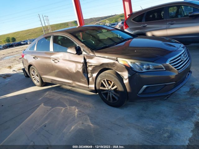 HYUNDAI SONATA 2016 5npe24af8gh382527