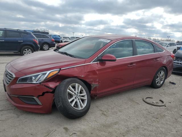 HYUNDAI SONATA 2016 5npe24af8gh385167