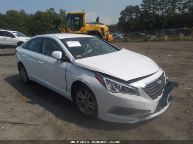 HYUNDAI SONATA 2016 5npe24af8gh387789