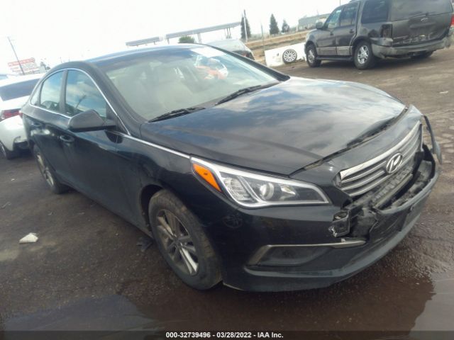 HYUNDAI SONATA 2016 5npe24af8gh395150