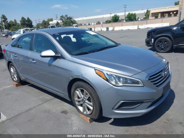 HYUNDAI SONATA 2016 5npe24af8gh396184