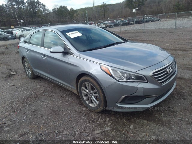 HYUNDAI SONATA 2016 5npe24af8gh396542