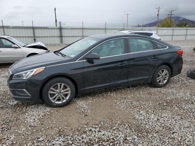 HYUNDAI SONATA SE 2016 5npe24af8gh397352