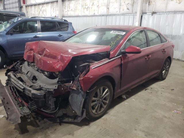 HYUNDAI SONATA SE 2016 5npe24af8gh397612