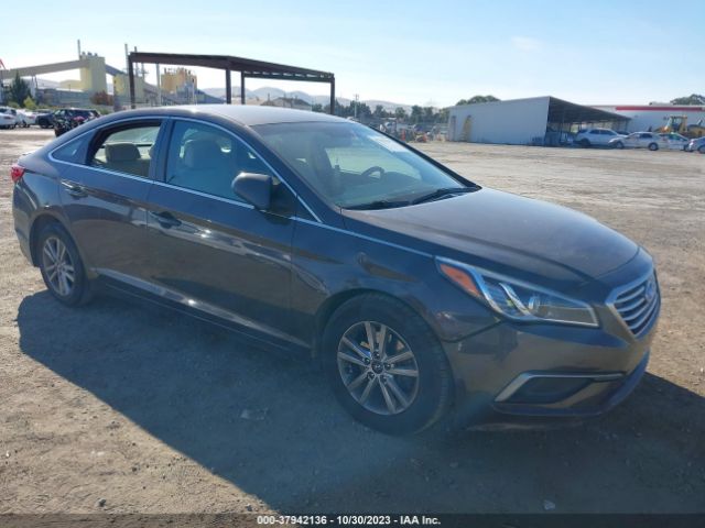 HYUNDAI SONATA 2016 5npe24af8gh417681