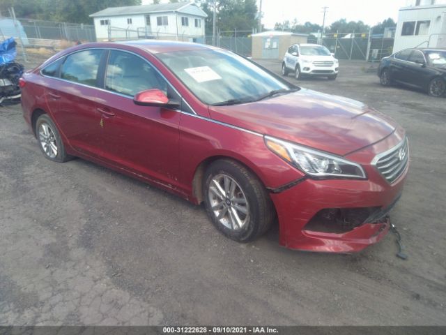 HYUNDAI SONATA 2016 5npe24af8gh421536