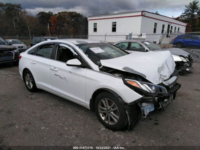 HYUNDAI SONATA 2016 5npe24af8gh422346