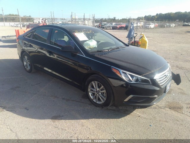 HYUNDAI SONATA 2016 5npe24af8gh424839