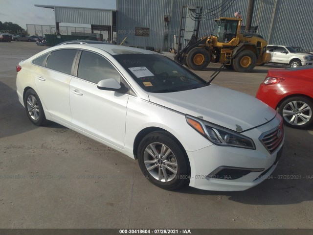 HYUNDAI SONATA 2017 5npe24af8hh440217