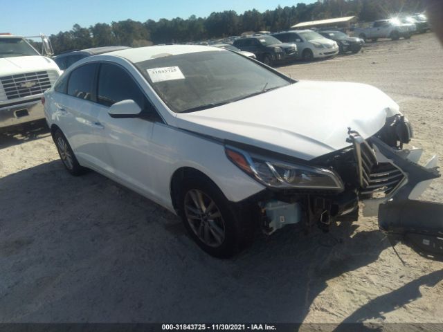 HYUNDAI SONATA 2017 5npe24af8hh442906