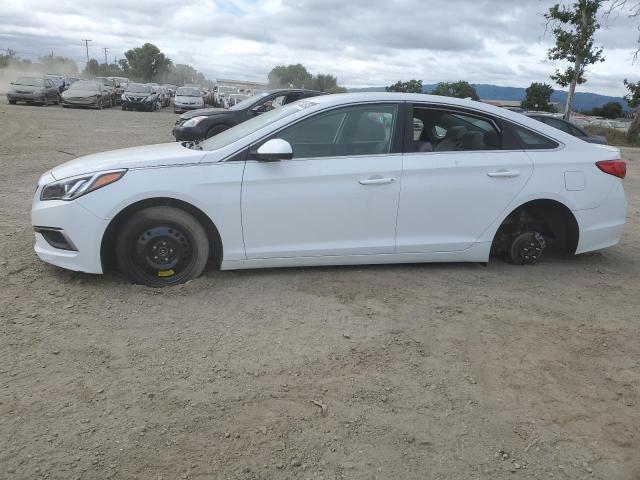 HYUNDAI SONATA 2017 5npe24af8hh451721