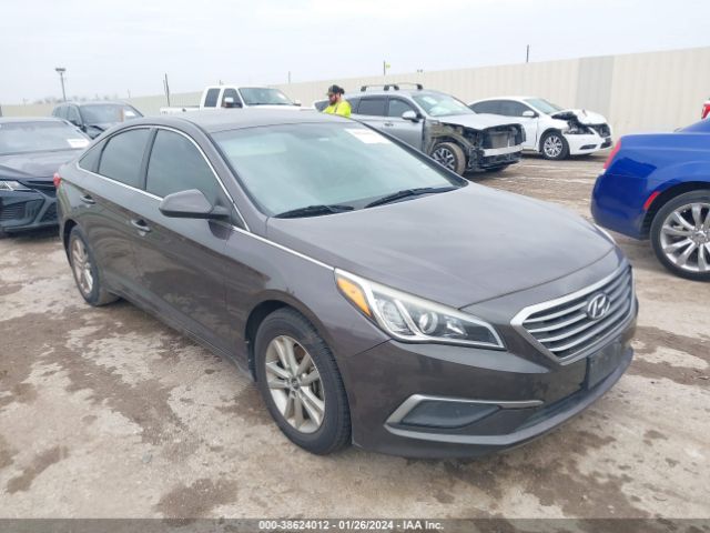 HYUNDAI SONATA 2017 5npe24af8hh484718