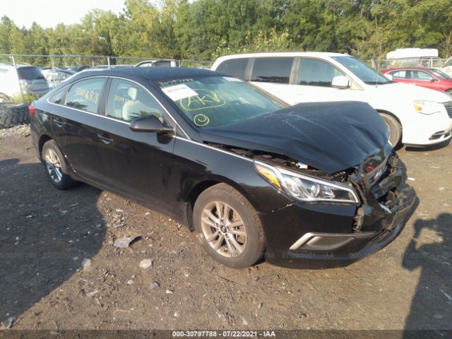 HYUNDAI SONATA 2017 5npe24af8hh488204