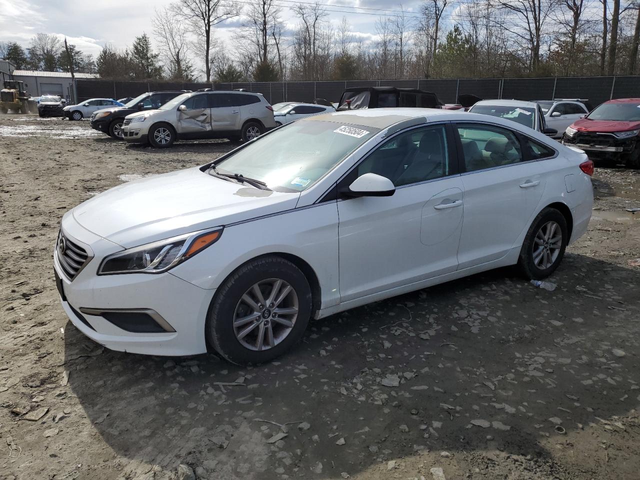 HYUNDAI SONATA 2017 5npe24af8hh488882