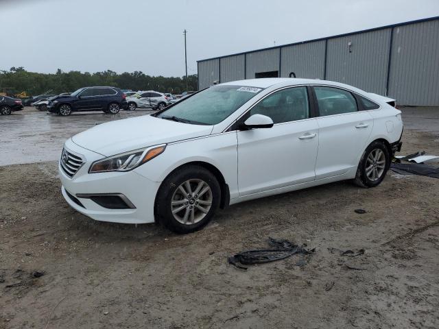 HYUNDAI SONATA SE 2017 5npe24af8hh508645