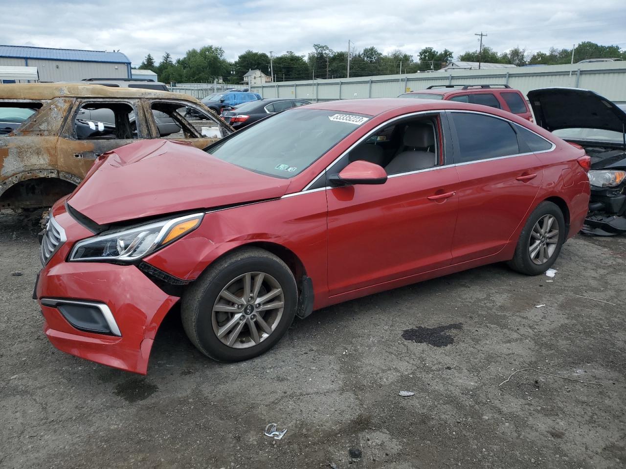 HYUNDAI SONATA 2017 5npe24af8hh509715