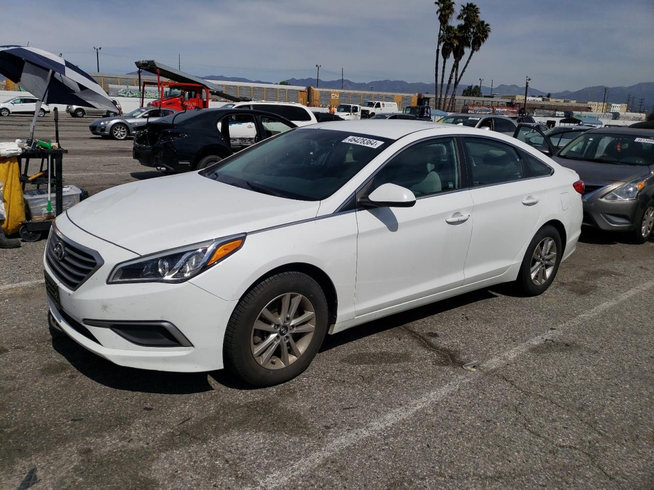 HYUNDAI SONATA 2017 5npe24af8hh511786