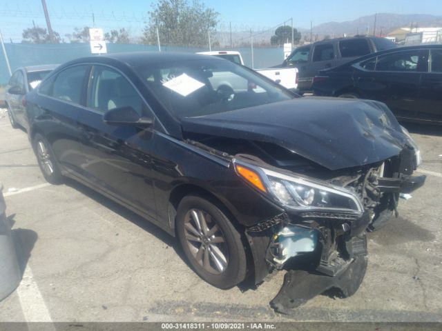 HYUNDAI SONATA 2017 5npe24af8hh515546