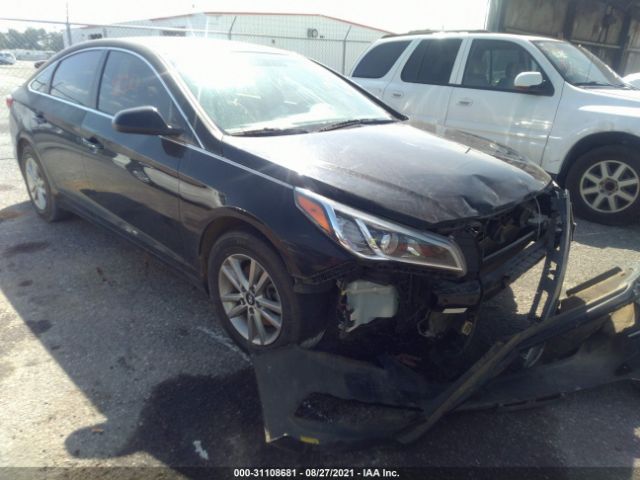 HYUNDAI SONATA 2017 5npe24af8hh515904