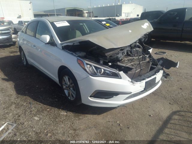 HYUNDAI SONATA 2017 5npe24af8hh520780