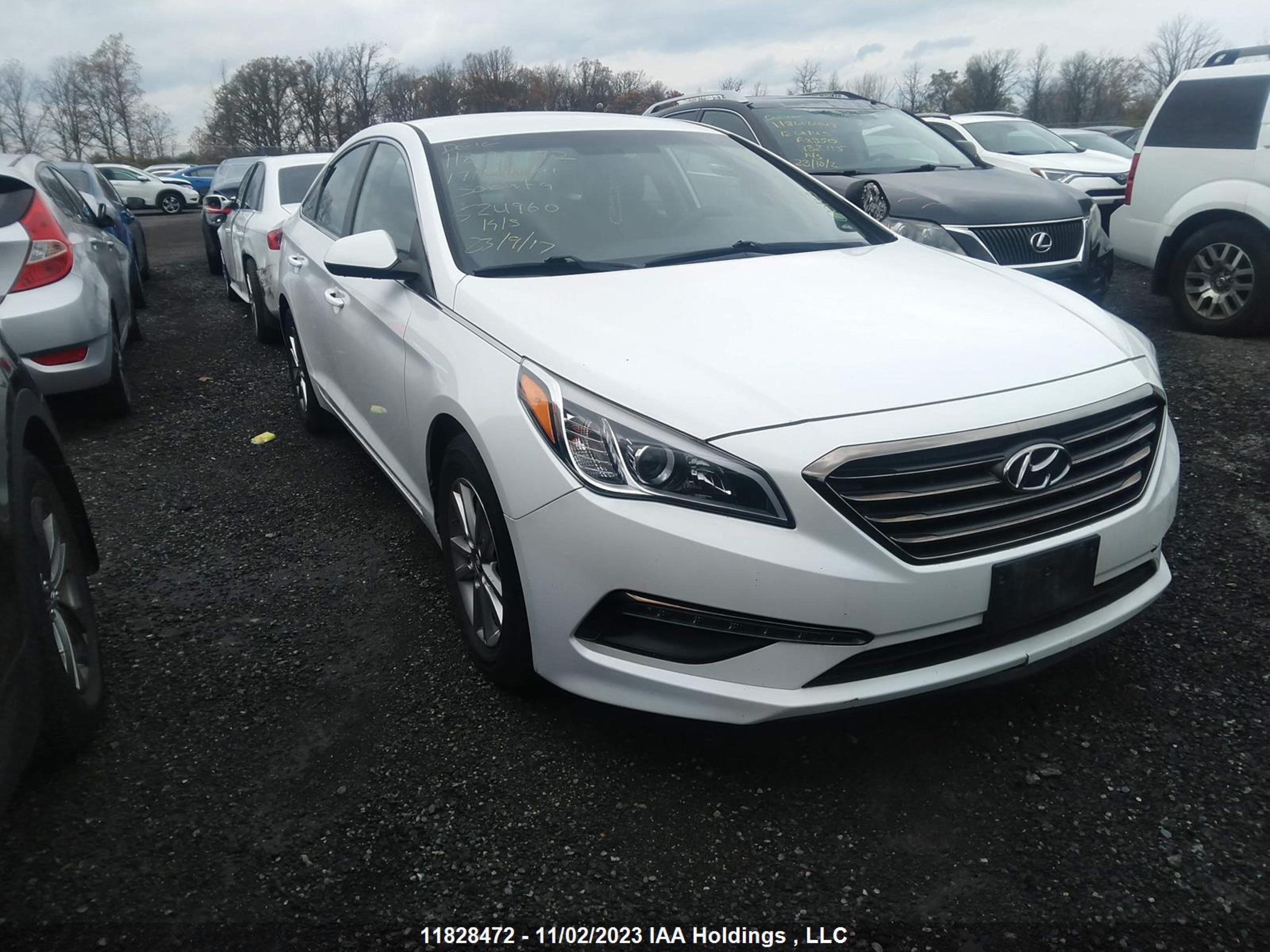 HYUNDAI SONATA 2017 5npe24af8hh524960