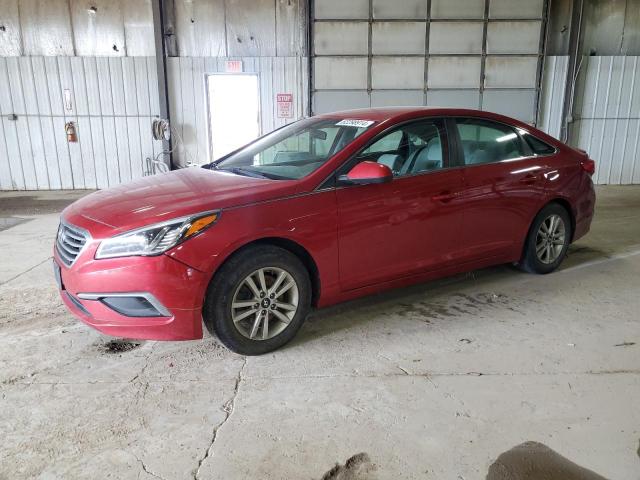 HYUNDAI SONATA SE 2017 5npe24af8hh532010