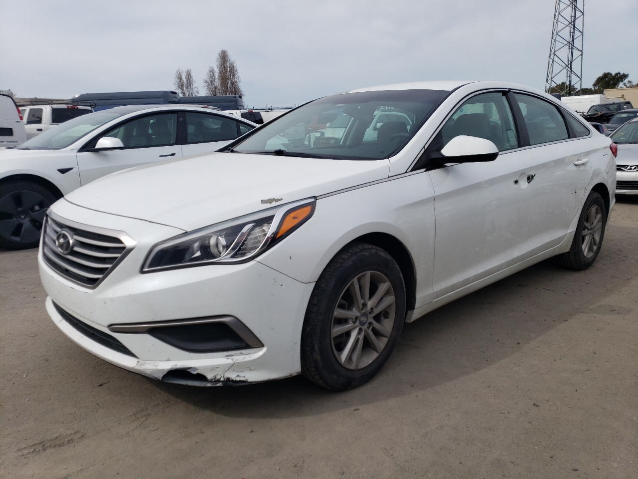 HYUNDAI SONATA 2017 5npe24af8hh534307