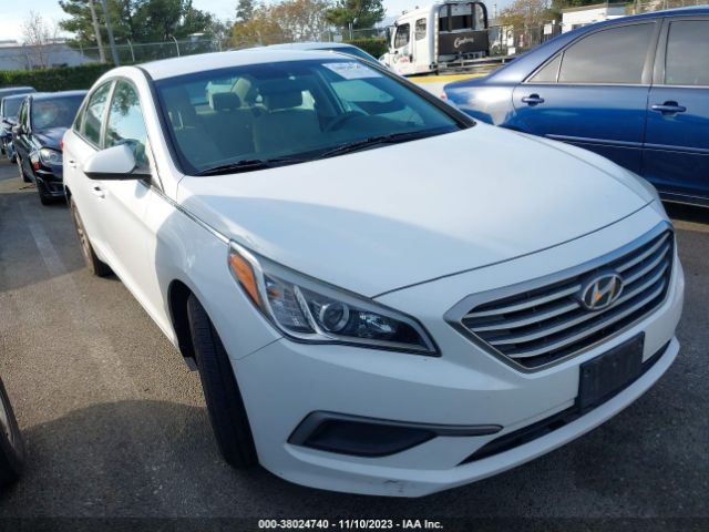 HYUNDAI SONATA 2017 5npe24af8hh543136