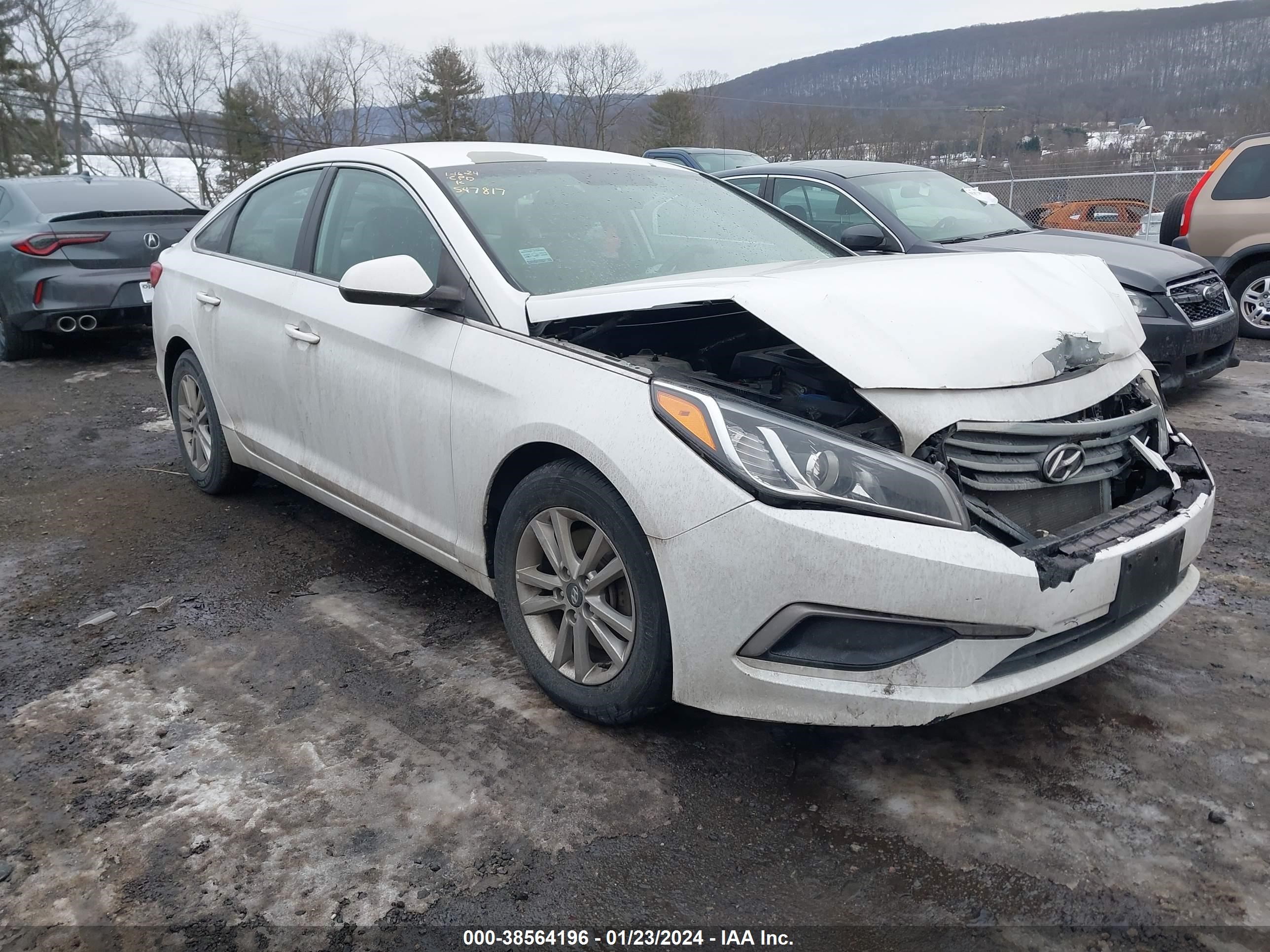 HYUNDAI SONATA 2017 5npe24af8hh547817