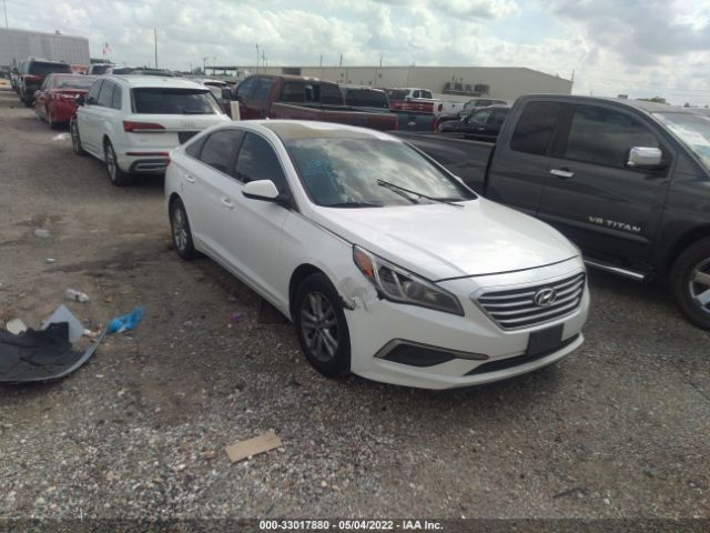 HYUNDAI SONATA 2017 5npe24af8hh548501