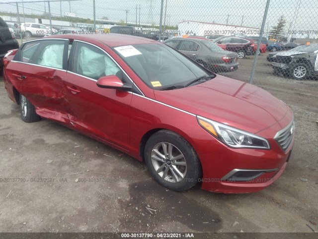 HYUNDAI SONATA 2017 5npe24af8hh549275